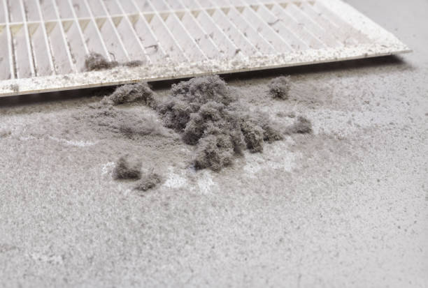 Best Affordable Duct Cleaning Services  in Romeovle, IL