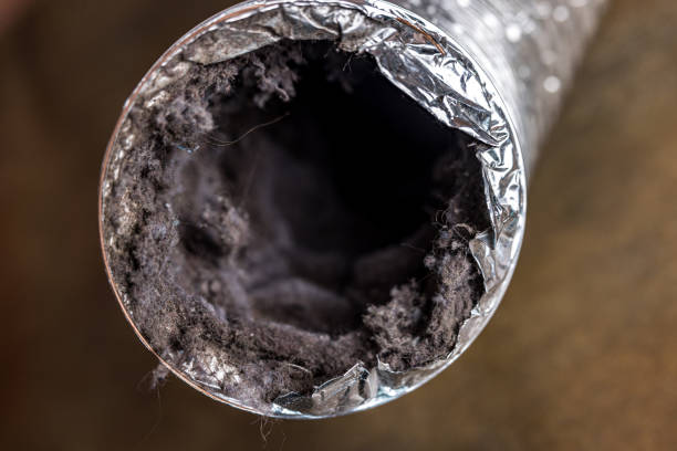 Best Best Air Duct Cleaning Company  in Romeovle, IL
