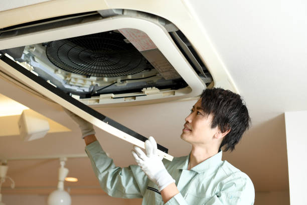 Best Air Duct Cleaning Near Me  in Romeovle, IL