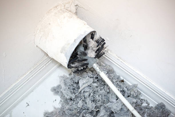 Best Affordable HVAC Duct Cleaning  in Romeovle, IL