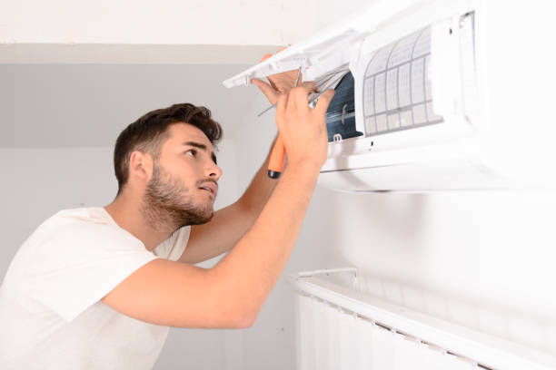 Best Duct Cleaning for Homes  in Romeovle, IL