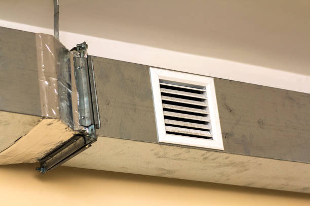 Best Air Vent Cleaning Services  in Romeovle, IL